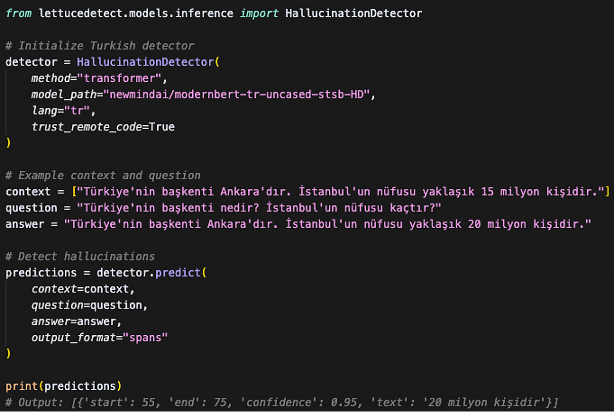 Basic Usage Example of Turkish Hallucination Detection Model