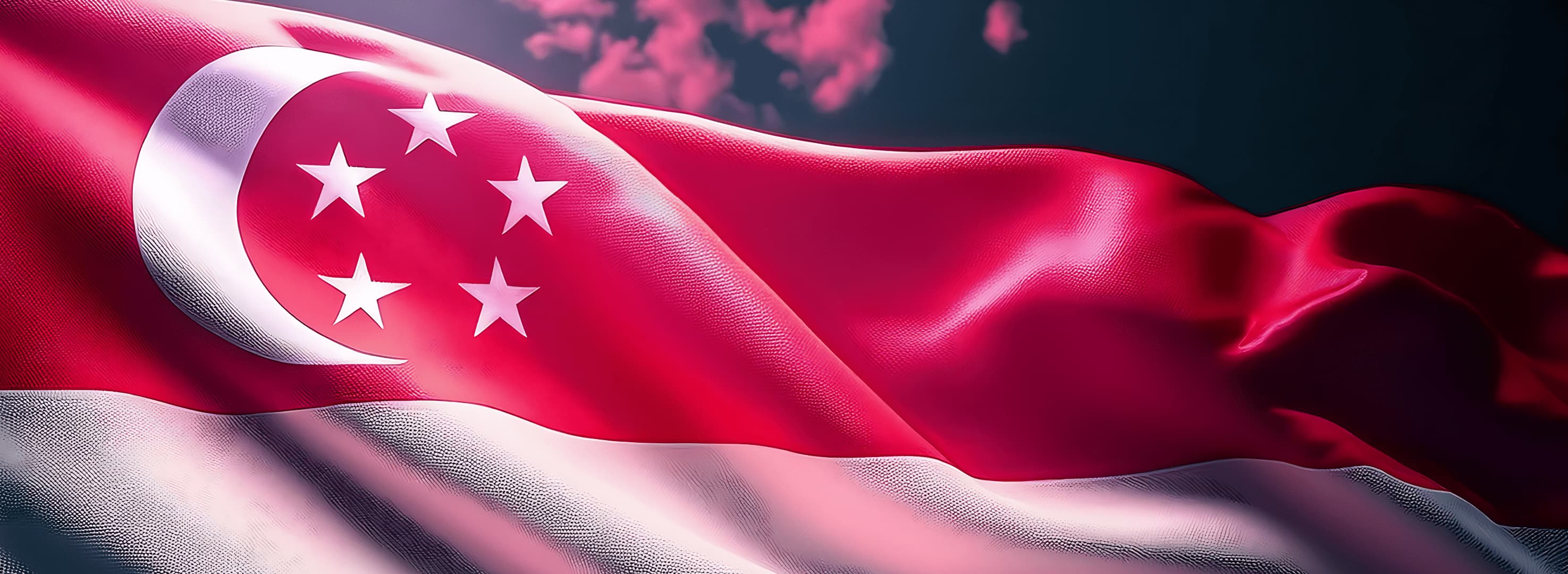 AI Policy and Regulations of Singapore